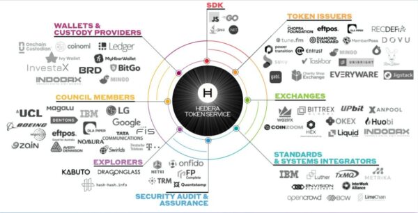 hedera hashgraph ecosystem