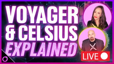 Voyager & Celsius